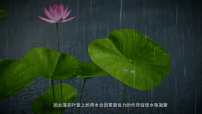 1669886118773956.gif 憎水玻璃丨雨天視野更清晰